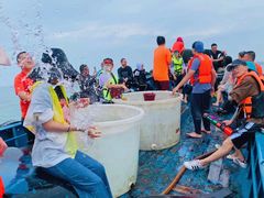 -中国闽台缘博物馆