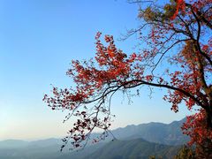 -广州市石门国家森林公园