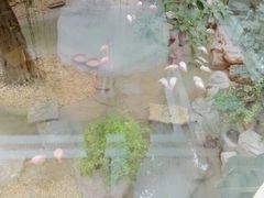 iphone_upload_pic-麒麟中餐厅·经典粤菜·地道菜式老字号(广州长隆酒店)