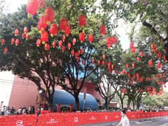 -越秀西湖花市(广州城市广场花卉店)