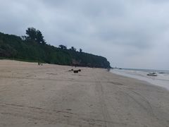 -贝壳沙滩