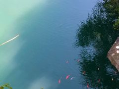 -青岛崂山太清宫