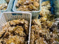 -帽帽家只卖生蚝·烧烤(沙湖路店)