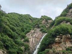 -王顺山国家森林公园