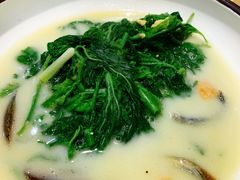 -喜上喜鸡煲翅(吉大店)