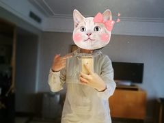 -七星国际商务酒店