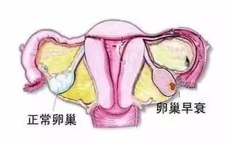 -邢台妇产医院
