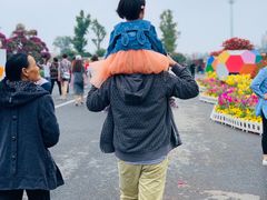 -荷兰花海