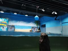 -沙沙哗啦海洋馆(华宇百花谷店)