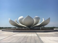 -呼兰河口湿地公园