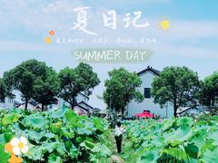 -大莲湖农家乐(青西郊野公园店)