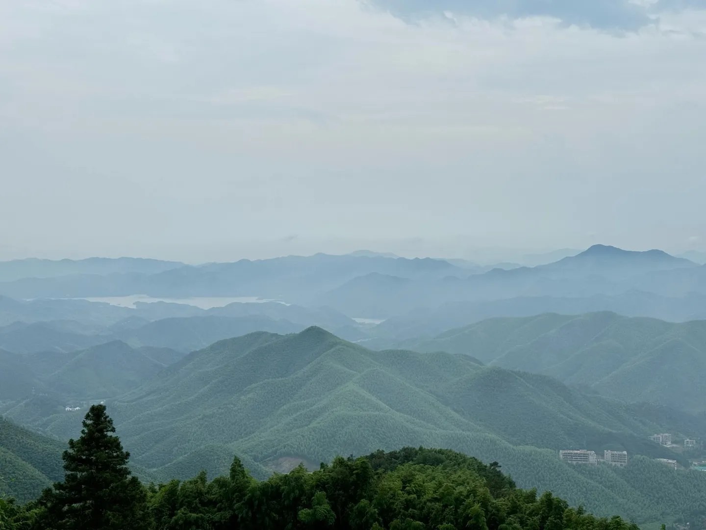 苍南云海牧场图片