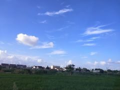 -菊园百果园