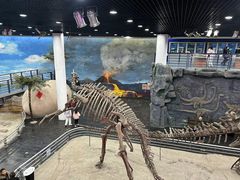 -吉林省自然博物馆