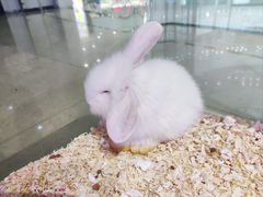 -大玩家(拱墅万达店)