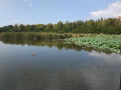 -前关湿地公园