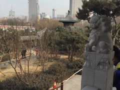-迎泽公园