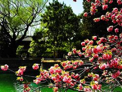 -颐和园