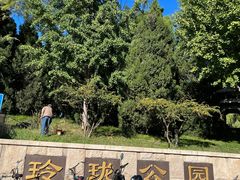 -玲珑塔公园