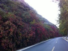 iphone_upload_pic-乌龙峡谷景区