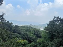 -广州市帽峰山景区