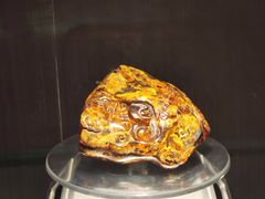 -抚顺煤矿博物馆