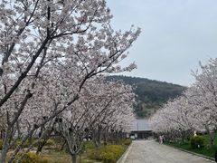 -人民广场-地下停车场