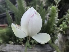 -重庆丽苑维景国际大酒店·海鲜自助餐厅