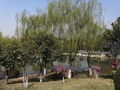 -鹦鹉寺公园