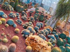 -南通洲际绿博园