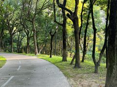 -燕晗山郊野公园
