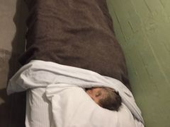 -阿尔卡特拉斯岛