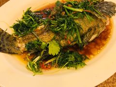 清蒸石斑鱼-揭阳钟记小食(福田新村店)