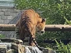 -北京野生动物园