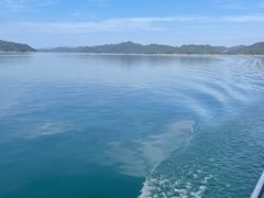 -千岛湖东南湖区