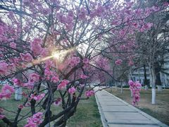 -山东大学(兴隆山校区)