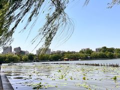 -济南大明湖景区