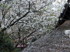 -中国茶叶博物馆(双峰馆区)