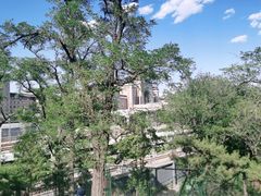 -莲花池公园