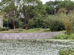 -渤公岛生态公园