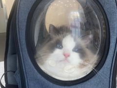 -爱诺耐芙动物医院(万博店)