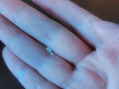 -璐坊粽王(复兴中路店)