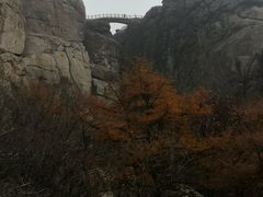 -崂山巨峰游览区