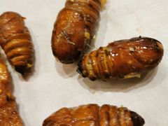 -枪火串烧·东北特色烧烤(罗湖总店)