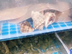 -宾朋海鲜特色美食餐厅·纯手工鲅鱼水饺(兴海路店)