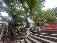-荔湾湖公园
