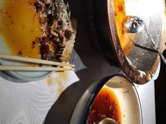 -雲蜀龙阁·金牌水煮鱼(方庄店)