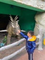 -宝燕乐园(闵行旗舰店)