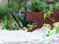 -Jo's Garden