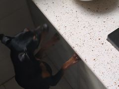 -首开·龙湖成都西宸天街